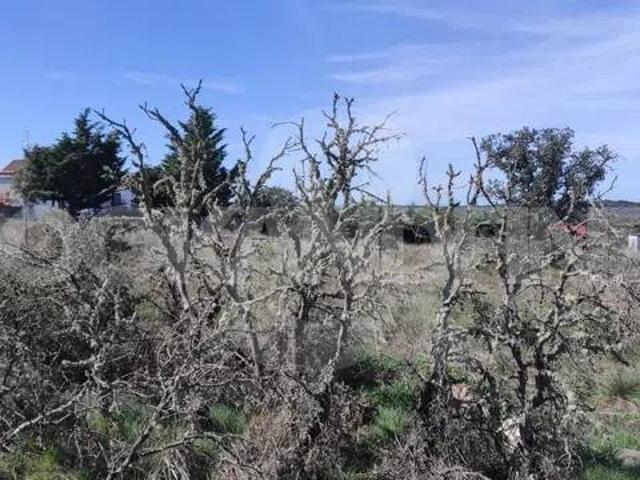 Terreno en Venta en Martinamor