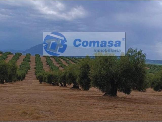 Terreno en Venta en Martos