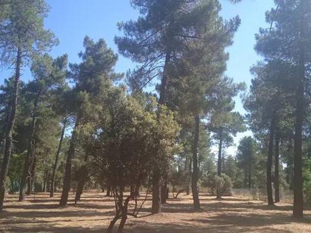 Terreno en Venta en Marugán