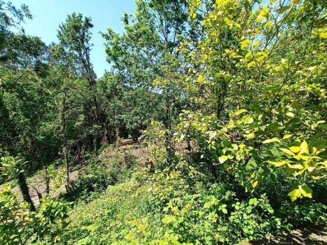 Terreno en Venta en Maruri Jatabe