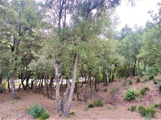 Terreno en Venta en Matadepera