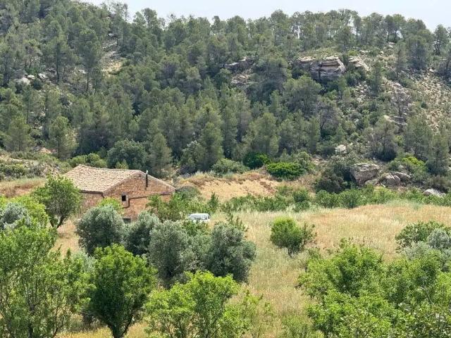 Terreno en Venta en Mazaleón