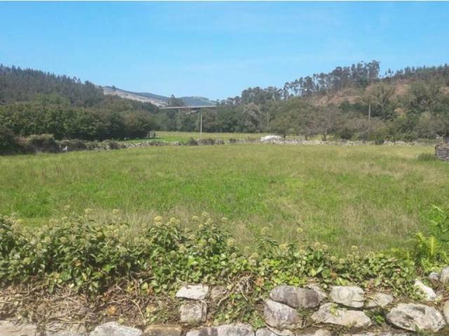 Terreno en Venta en Mazcuerras