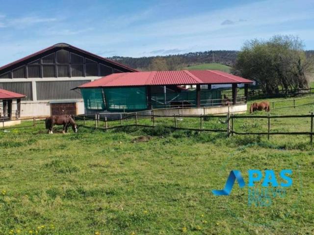Terreno en Venta en Mazcuerras