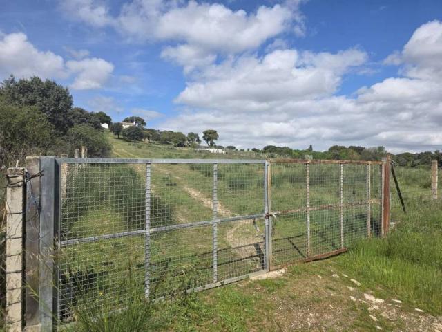 Terreno en Venta en Mediana de Voltoya