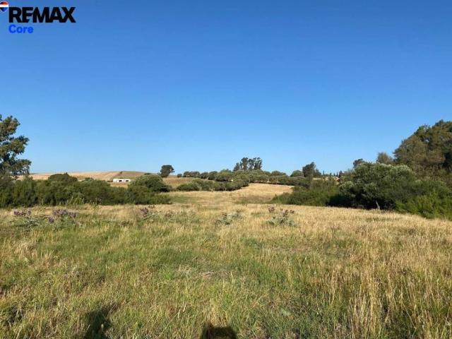 Terreno en Venta en Medina Sidonia