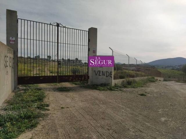 Terreno en Venta en Medina Sidonia