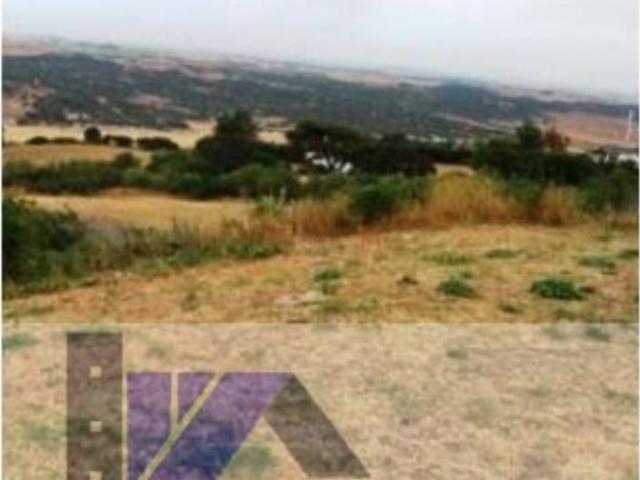 Terreno en Venta en Medina Sidonia