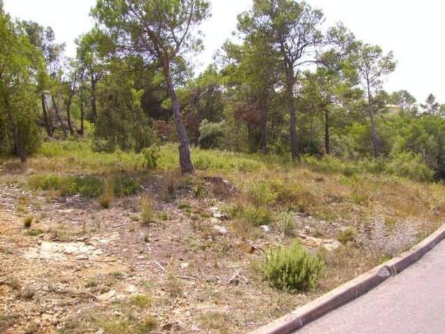 Terreno en Venta en Mediona