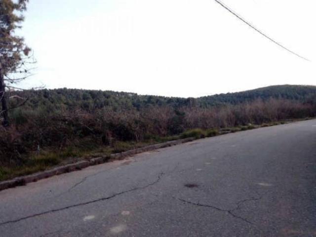 Terreno en Venta en Mediona