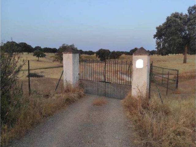 Terreno en Venta en Membrío