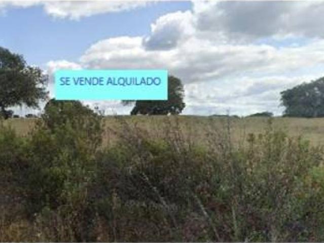 Terreno en Venta en Membrío
