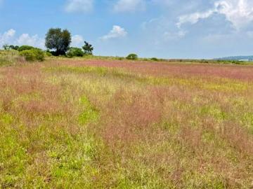 Terreno en Venta en Mesillas, Amealco, Querétaro. 10,139 m² Ideal para Cabañas o Casa de Descanso
