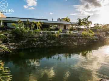TERRENO EN VENTA EN DZIDZIL HA, DIZIDZILCHÉ, MÉRIDA DE MIL METROS