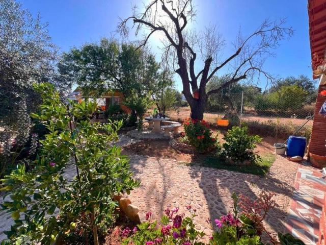 Terreno en Venta en Mérida