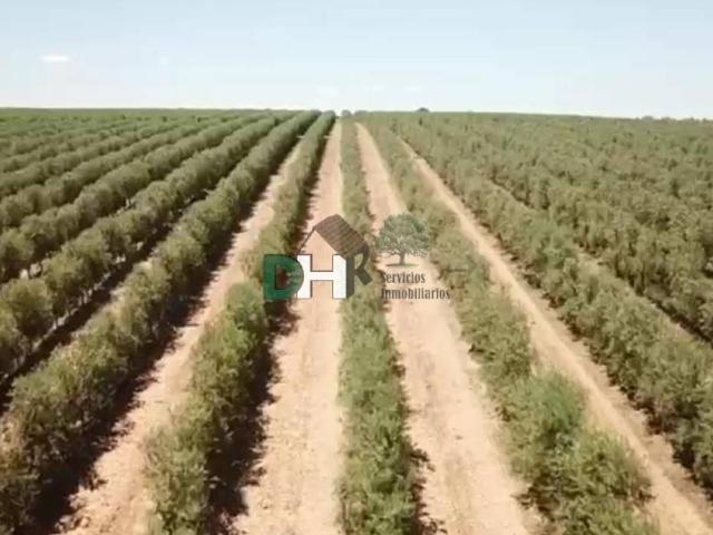 Terreno en Venta en Mérida