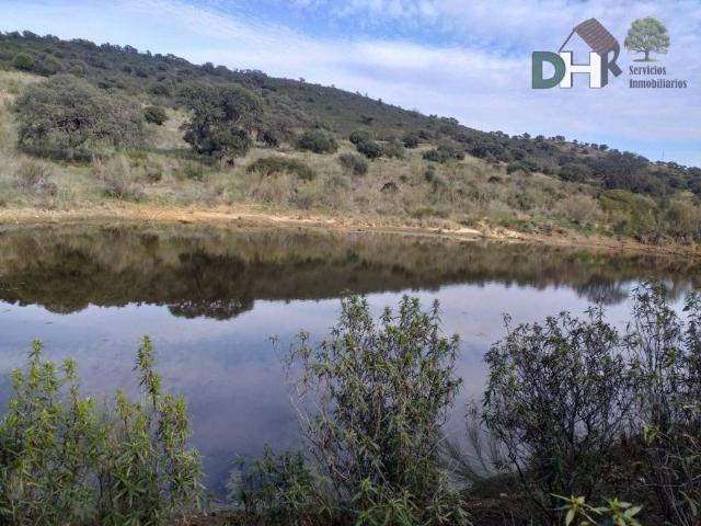 Terreno en Venta en Mérida