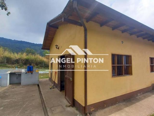 Terreno en Venta en Merida Mérida 89 m2
