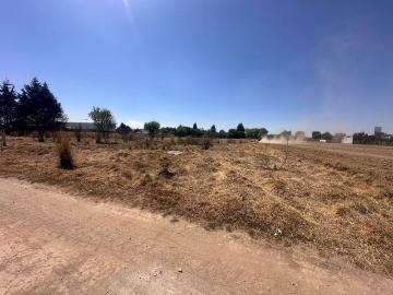 Terreno en Venta en Mexicaltzingo, M?xico