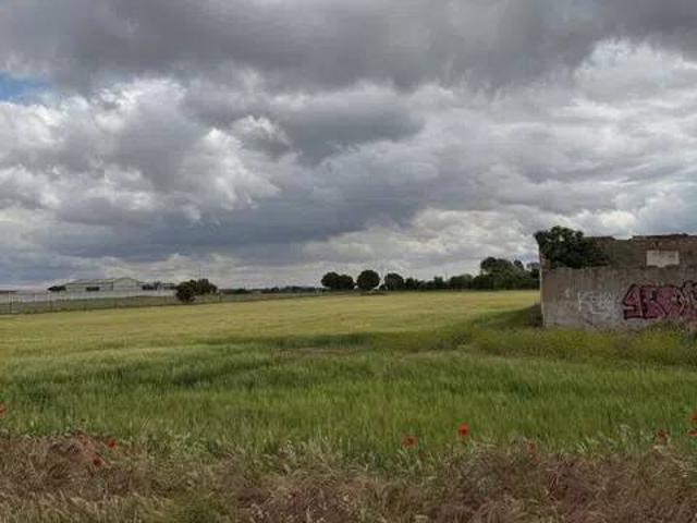 Terreno en Venta en Miguelturra