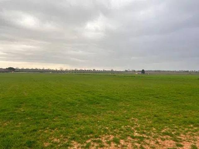 Terreno en Venta en Miguelturra