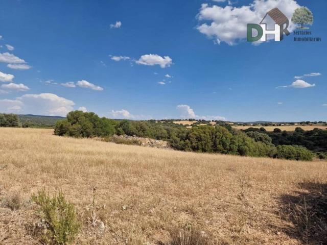 Terreno en Venta en Miguelturra
