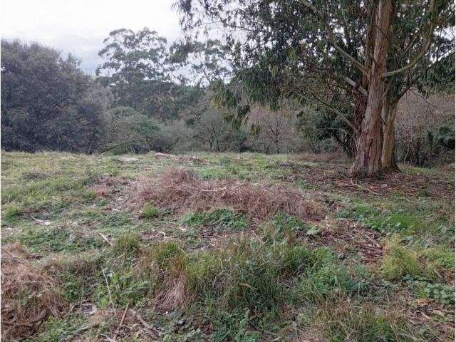 Terreno en Venta en Miengo