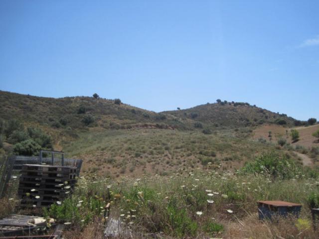 Terreno en venta en Mijas, Mijas Golf