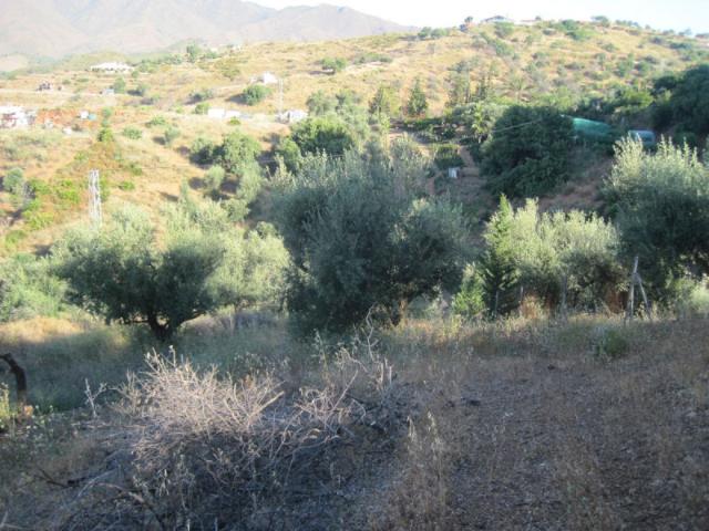 Terreno en venta en Mijas, Mijas