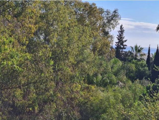 Terreno en Venta en Mijas