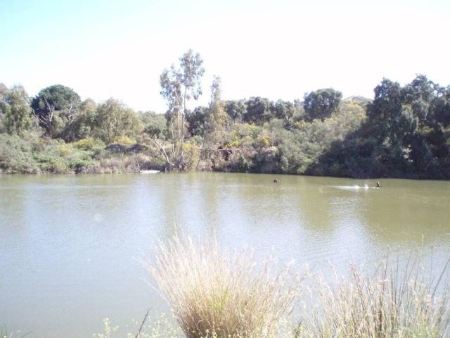 Terreno en Venta en Mijas