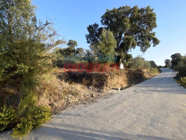 Terreno en Venta en Millanes