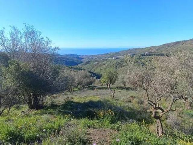 Terreno en Venta en Moclinejo