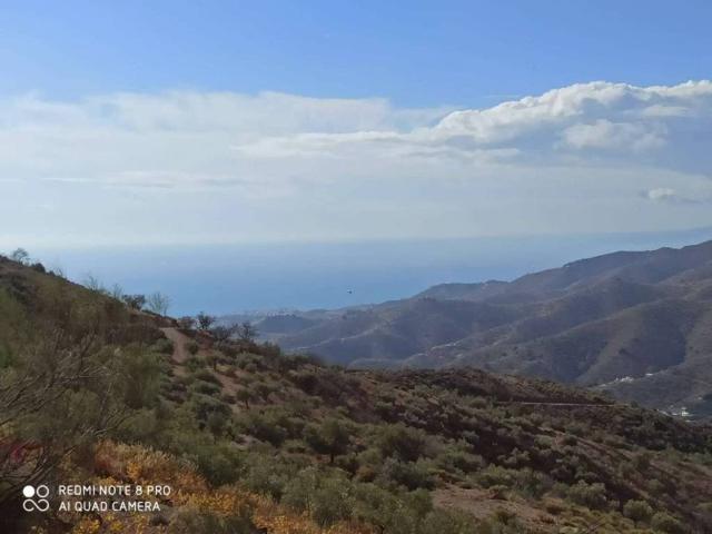 Terreno en Venta en Moclinejo