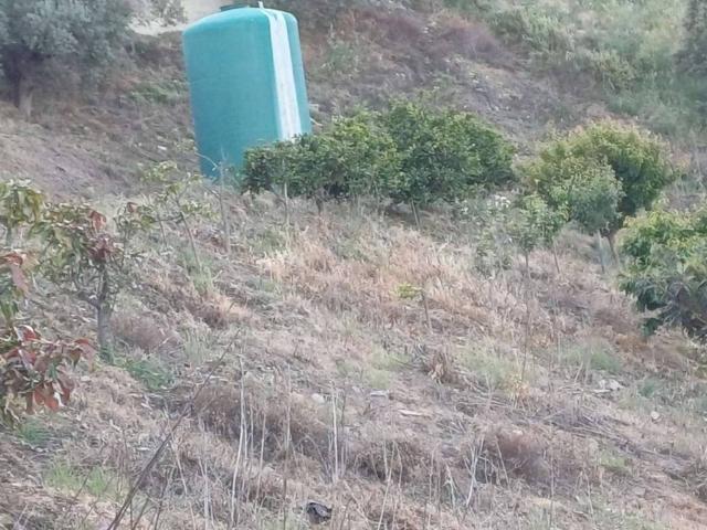 Terreno en Venta en Moclinejo