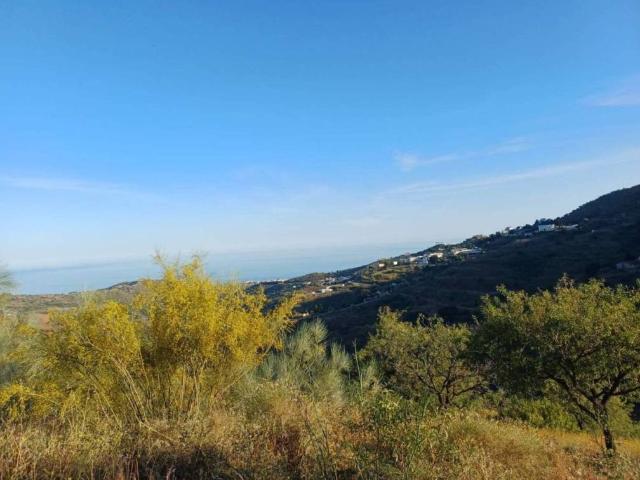 Terreno en Venta en Moclinejo
