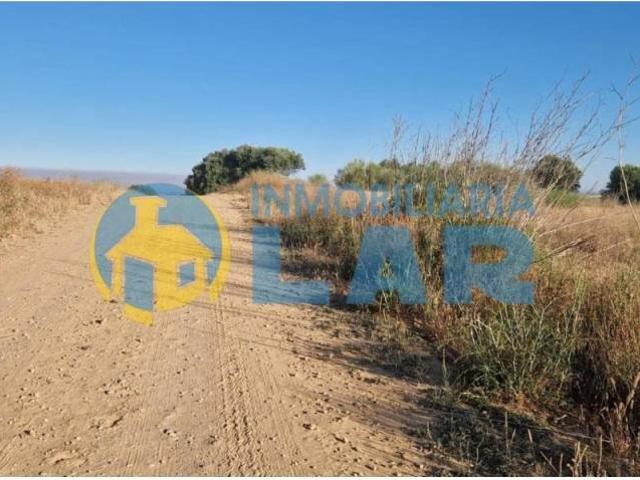 Terreno en Venta en Moguer
