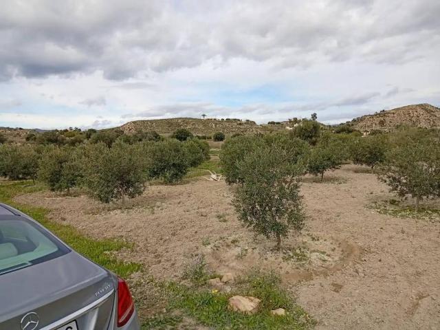 Terreno en Venta en Mojácar