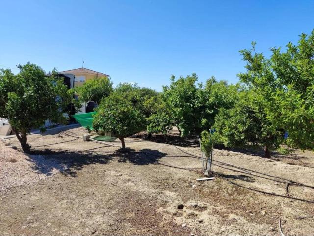 Terreno en Venta en Molina de Segura