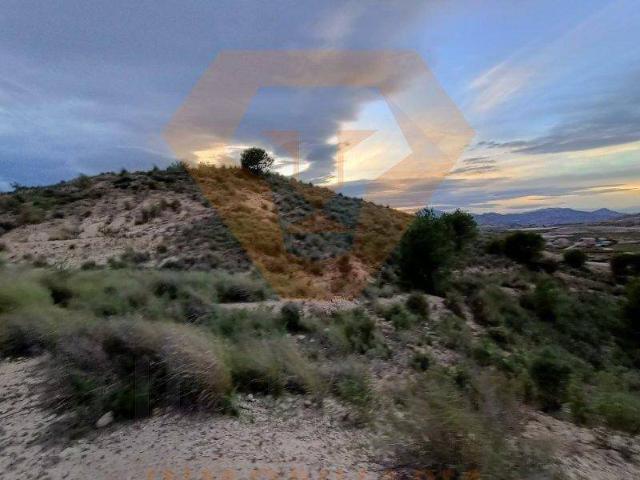 Terreno en Venta en Molina de Segura
