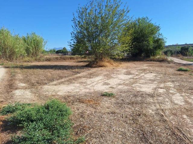Terreno en Venta en Molina de Segura