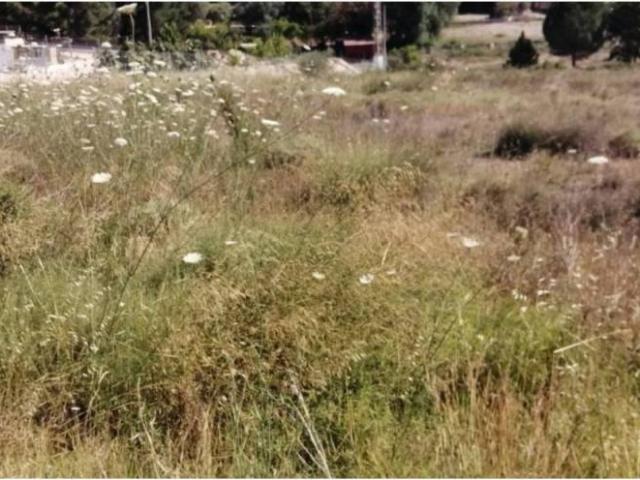 Terreno en Venta en Molina de Segura