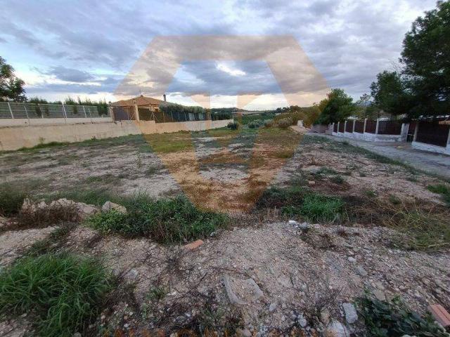 Terreno en Venta en Molina de Segura