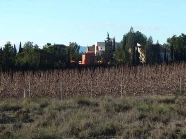 Terreno en Venta en Molina de Segura
