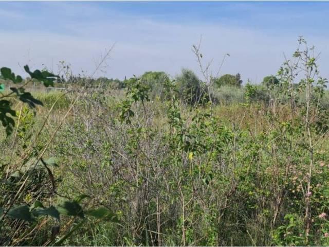 Terreno en Venta en Molina de Segura