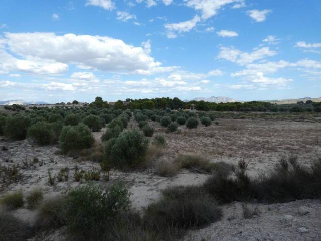 Terreno en Venta en Molina de Segura