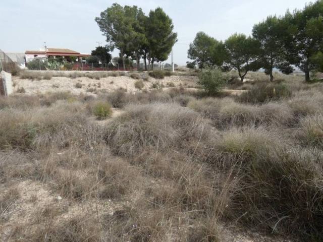 Terreno en Venta en Molina de Segura