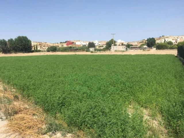 Terreno en Venta en Molina de Segura