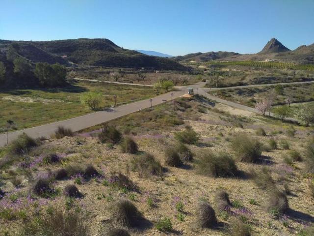 Terreno en venta en Molina de Segura, Campotéjar Los Valientes