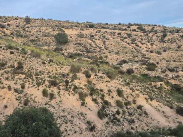 Terreno en venta en Molina de Segura, Centro
